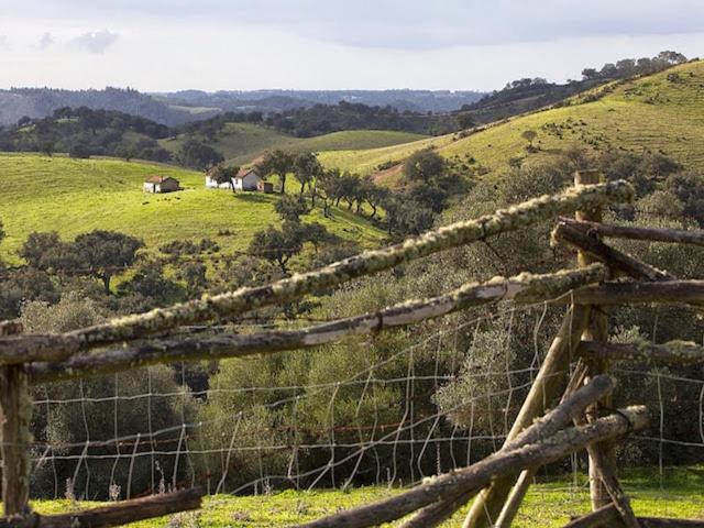 Monte Da Gravita Ribeira do Salto Экстерьер фото